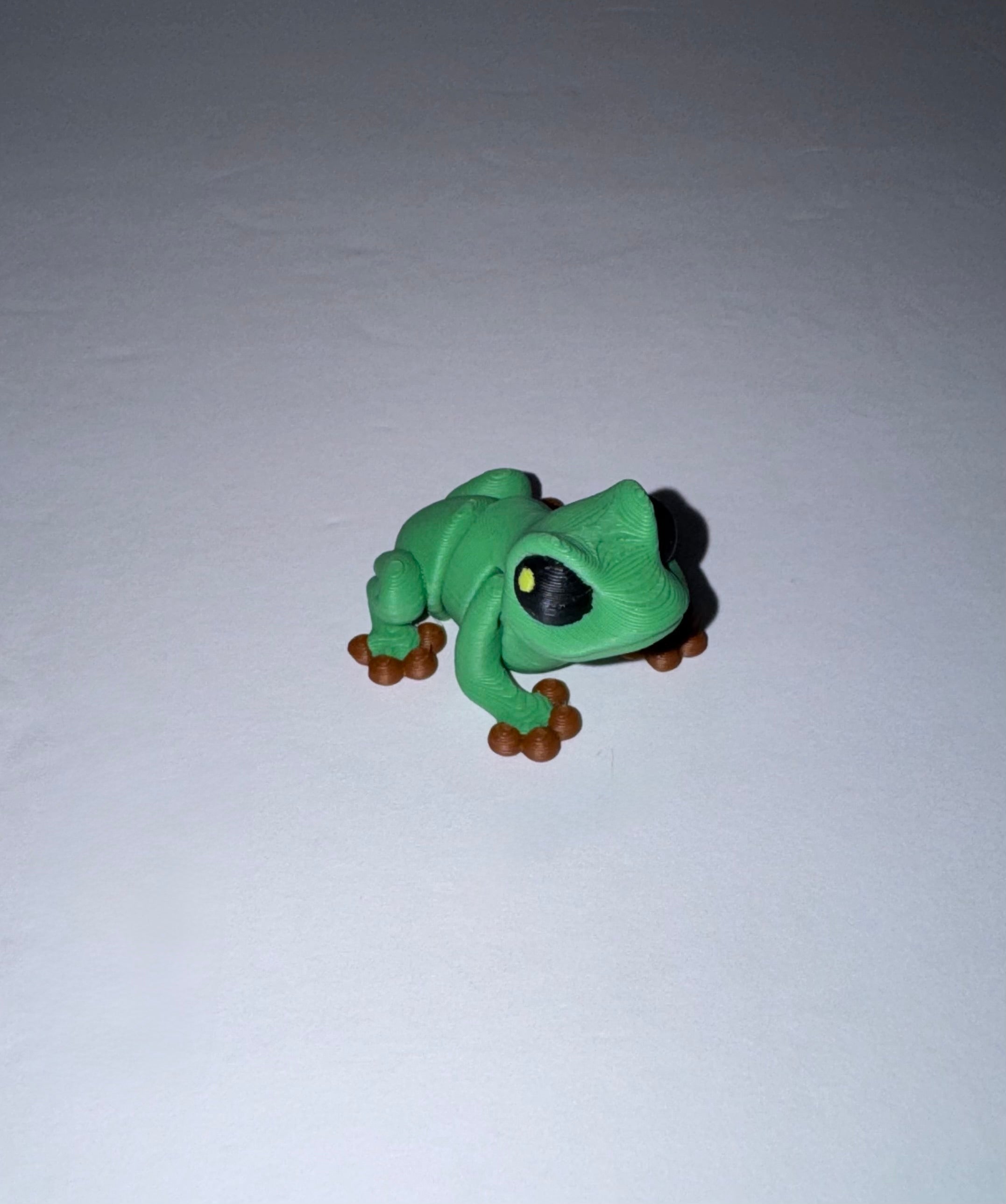 Frog  Fidget Toy Flexi